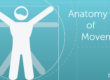 The anatomy of a man with his hands up