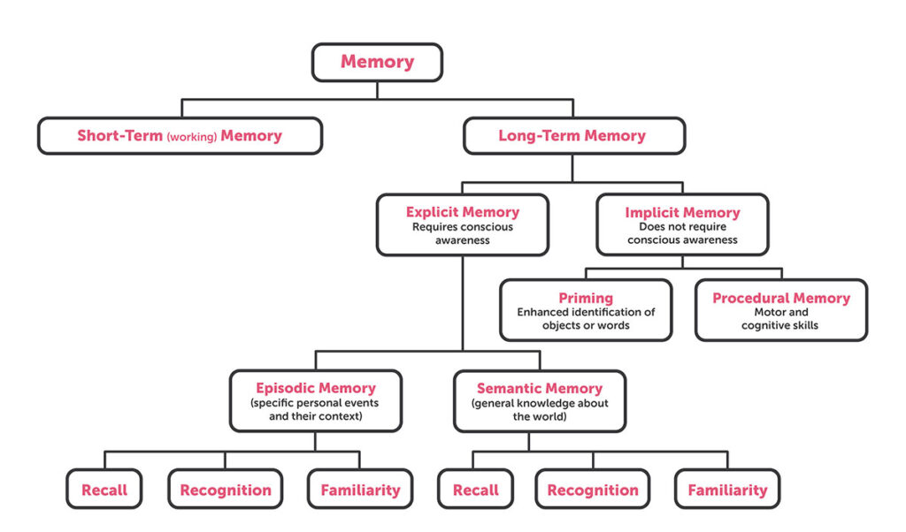 Types of memory - BrainHQ