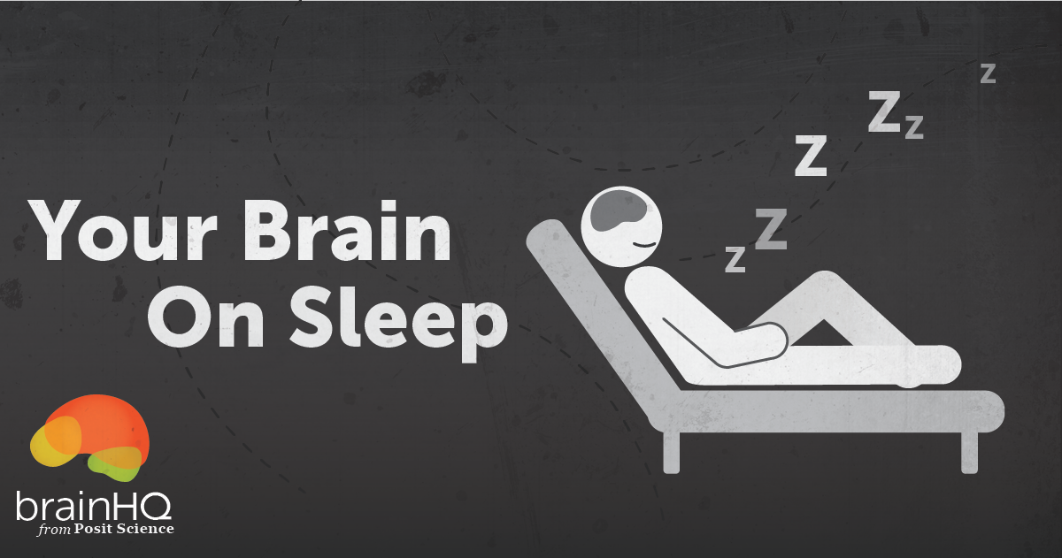 Your Brain on Sleep