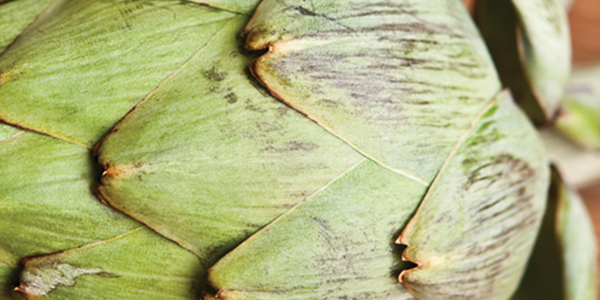 A green artichoke on a wooden surface