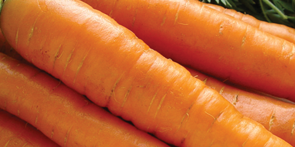 A bunch of carrots sitting on top of a table