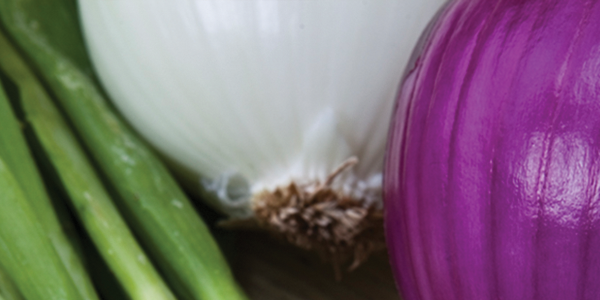 A close up of a purple onion and green onions