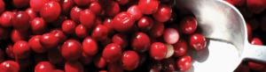 Spiced Cranberry Sauce