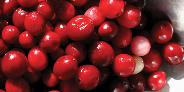 A close up of a bowl of candy