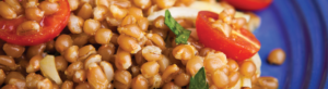 Curried Wheat Berry & Tomato Salad