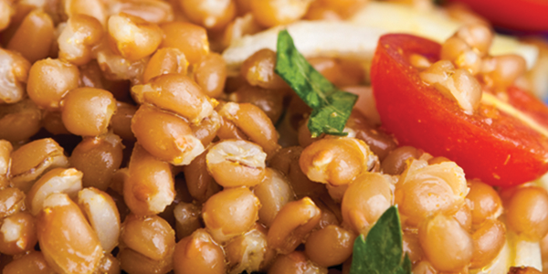 curriedwheat A close up of a plate of food with beans