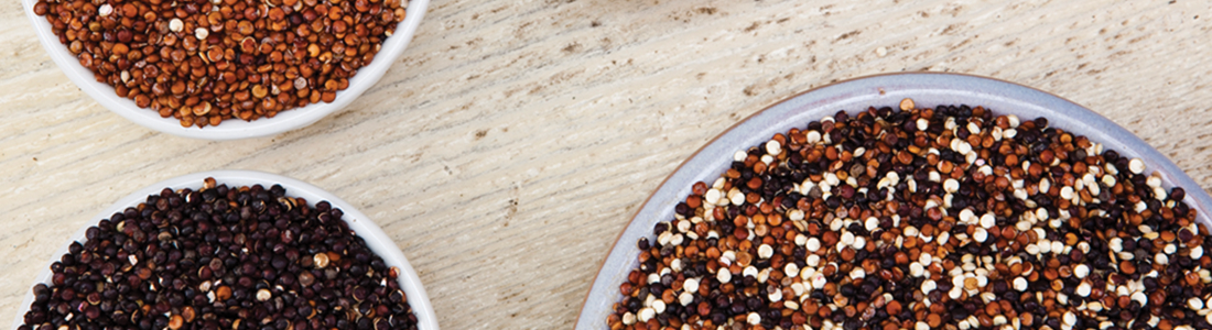 Three bowls filled with different types of seeds