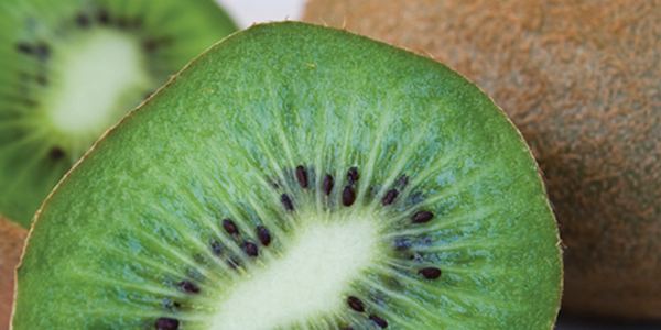A kiwi cut in half sitting on top of a table