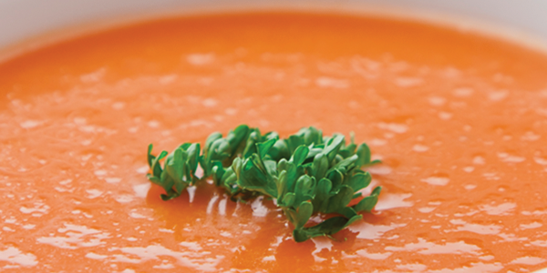 gazpacho A bowl of carrot soup with a sprig of parsley