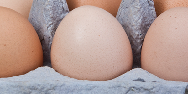 A carton of eggs sitting on top of a table