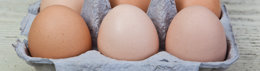 A carton of eggs sitting on top of a table