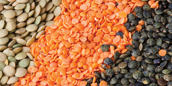 A pile of beans and carrots next to each other