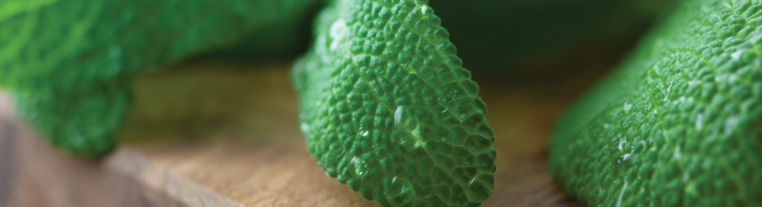 A close up of green leaves on a wooden surface