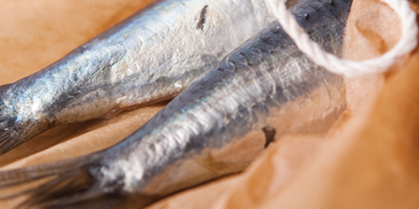 A fish on a piece of brown paper