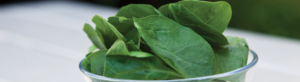 Spinach Salad Campagnarde-Style