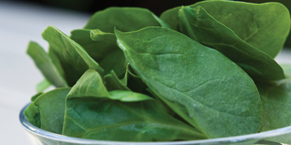 A glass filled with green leaves on top of a table