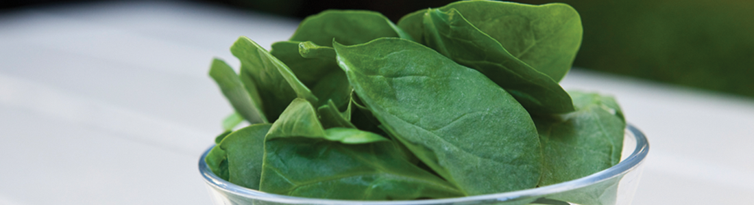 A glass filled with green leaves on top of a table