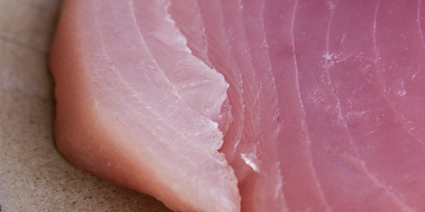 tunarotini A close up of a piece of meat on a plate