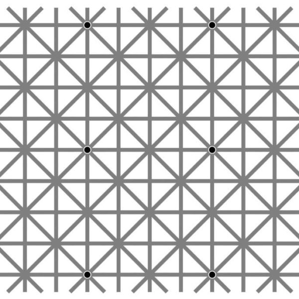A grid pattern with black dots on a white background