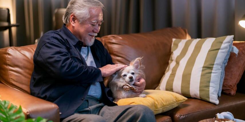 PS_PerksOfHavingPets-1390795476 A man sitting on a couch holding a small dog