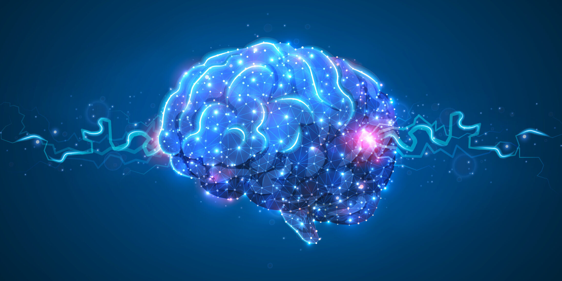 Human,Brine.,Organ,Anatomy,,Neurology,,Healthy,Body,Concept.,Polygonal,Image A computer generated image of a human brain