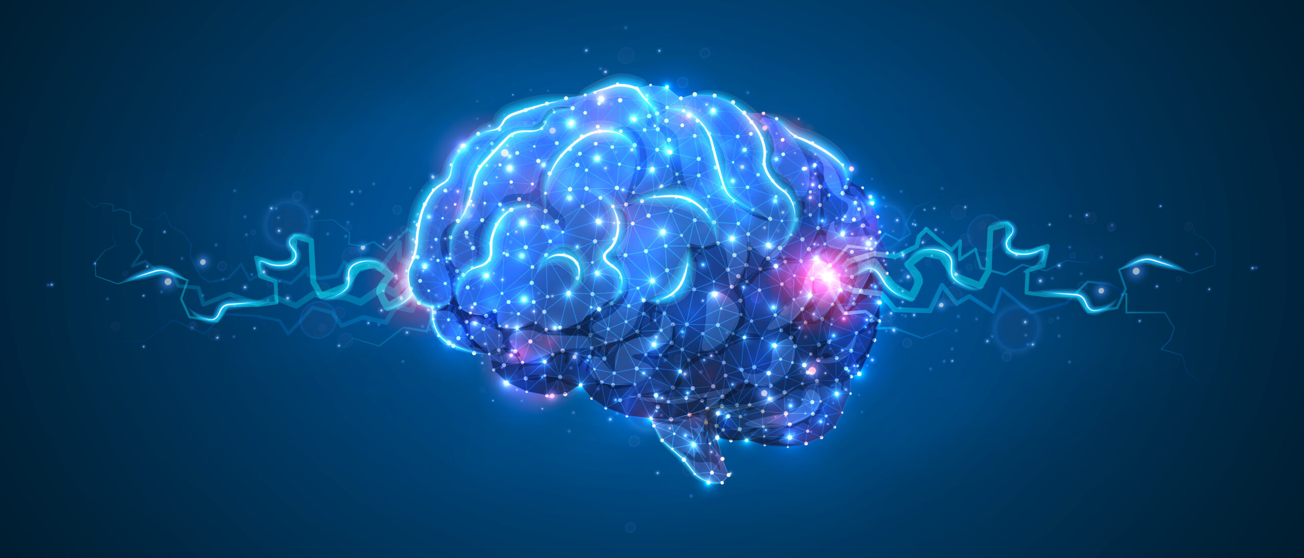 Human,Brine.,Organ,Anatomy,,Neurology,,Healthy,Body,Concept.,Polygonal,Image A computer generated image of a human brain