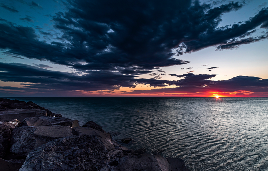 A “sea change” in brain health