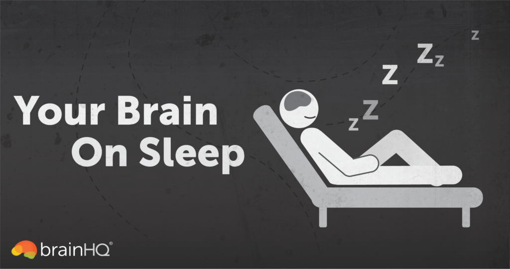 Your Brain on Sleep